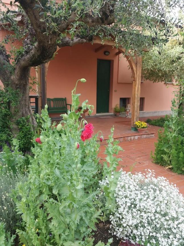 Villa Giuliana Vigonza Εξωτερικό φωτογραφία